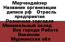 Мерчендайзер › Название организации ­ диписи.рф › Отрасль предприятия ­ Розничная торговля › Минимальный оклад ­ 25 000 - Все города Работа » Вакансии   . Мурманская обл.,Снежногорск г.